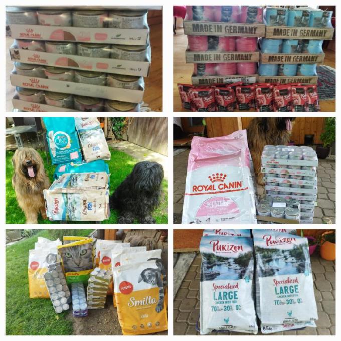 Krmení pro kočičky v Útulku Zakladatelů