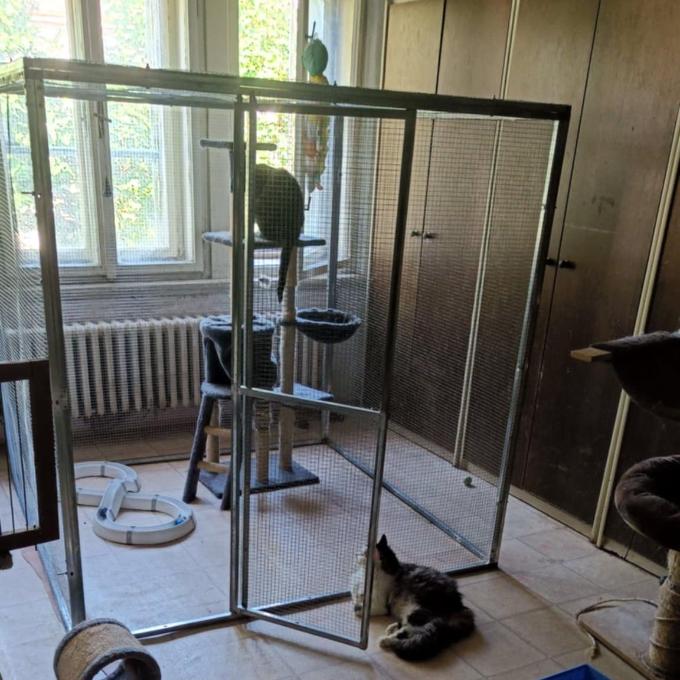 Velká karanténní klec pro koťata