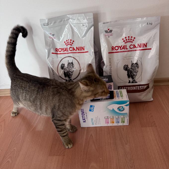 Dieta pro gastro trojici
