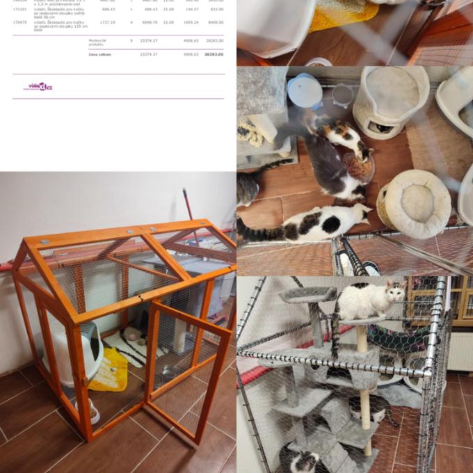 Pomůžeme zachránit kočičky z kolonie?