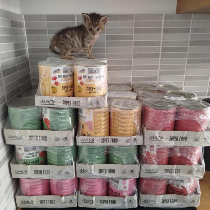 Plné bříško = šťastná kočka 🐱