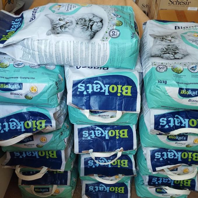 Stelivo kočičkám z Šance pro kočku