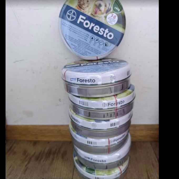 Chceme zdravé kočičky bez parazitů