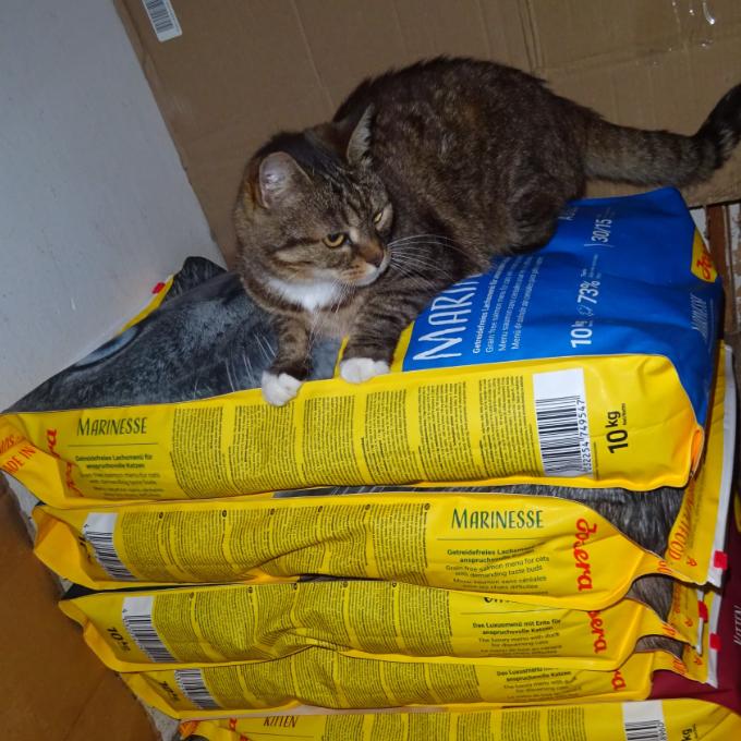 Kvalitní granule pro Šonováčky