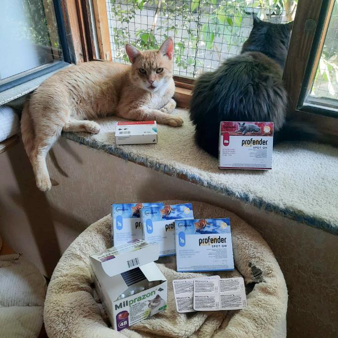 Antiparazitika pro Mikeše