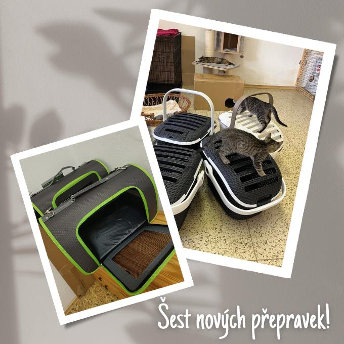Přepravky pro kočičky
