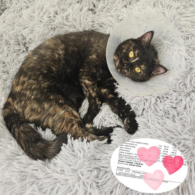 Život bez bolesti pro Toffinku