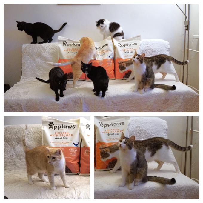 Zdravá bříška lll.