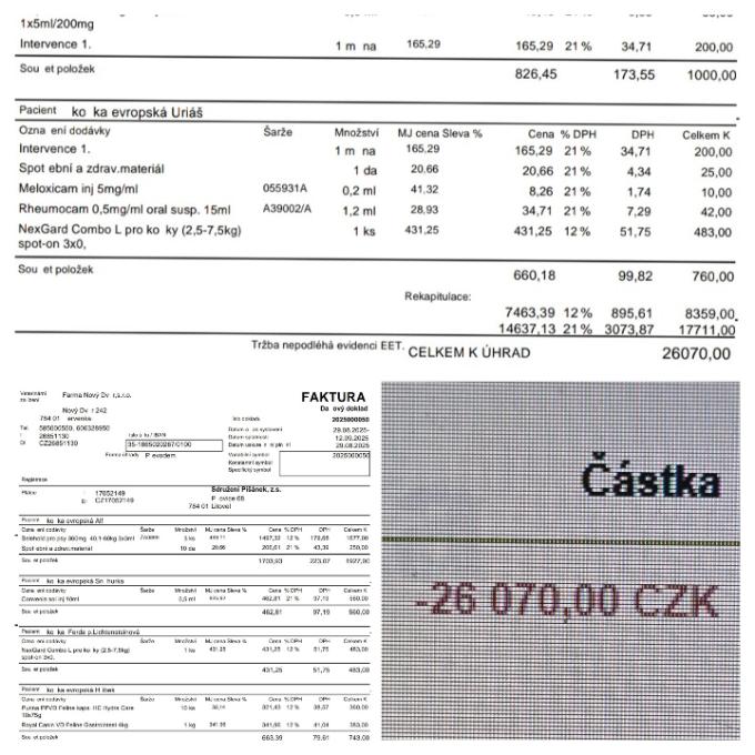 Pomoc s úhradou faktury za veterinární ošetření koček