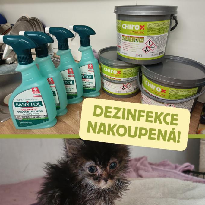 Dezinfekce na pořádný úklid