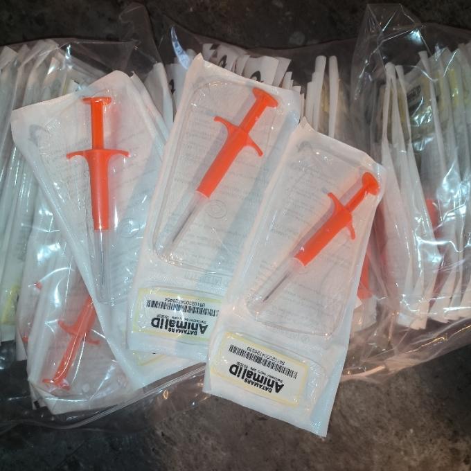 Čipy pro 100 kočiček - STOP BEZEJMENNÝM