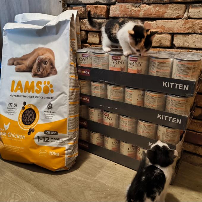 PLNÁ MISKA PRO KOŤÁTKA