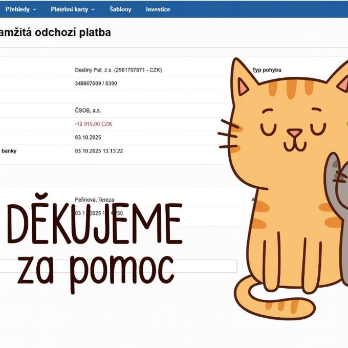 Úhrada dlužné faktury za kastrace