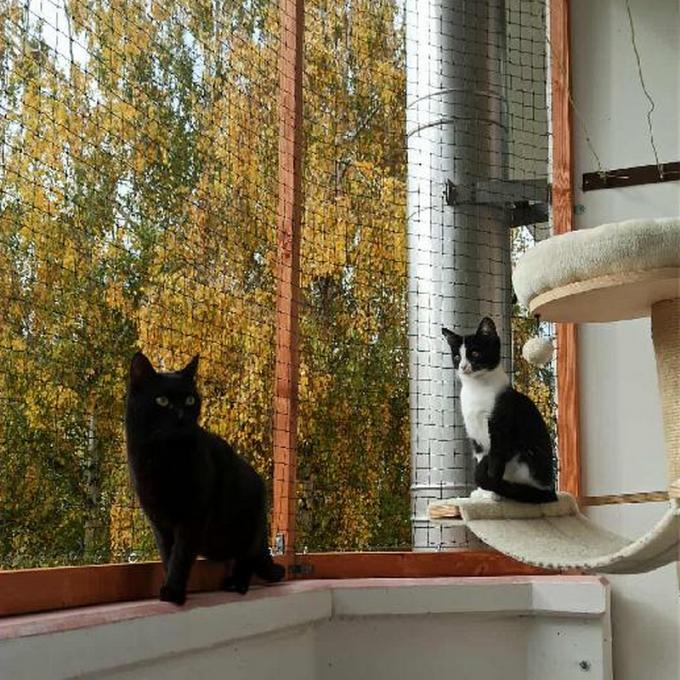 Zasíťování balkónu u dočaskové tety Káti v Hustopečích