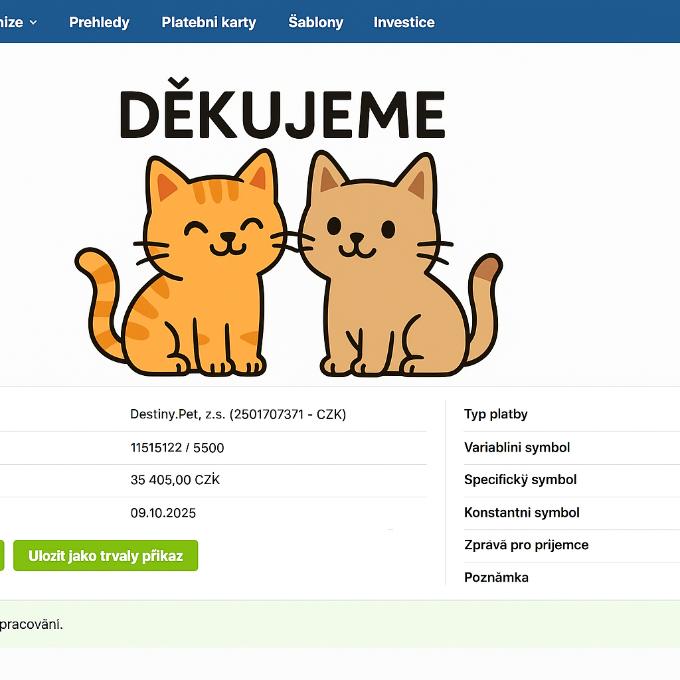Velká faktura za životy kočiček :(