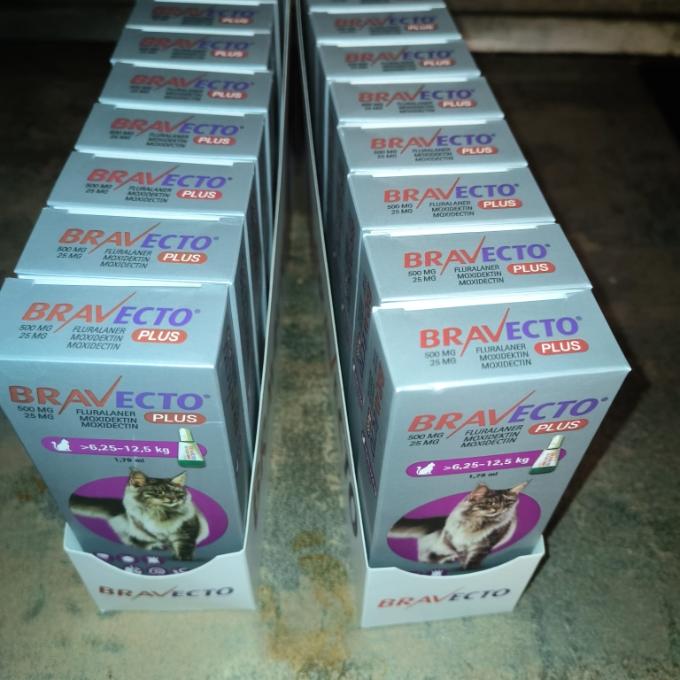 Bravecto+ do celého útulku - SOS