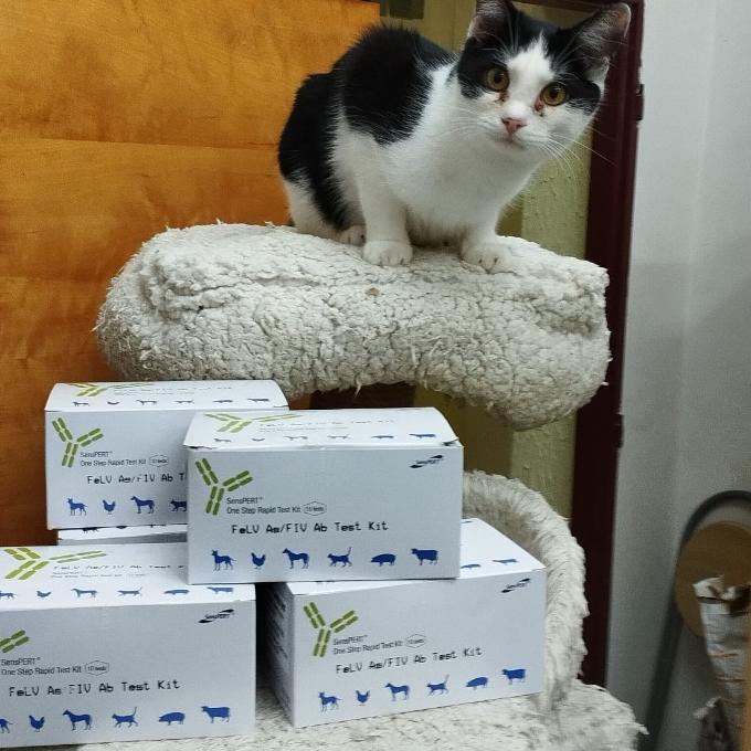 Testy na diagnostiku nemocí