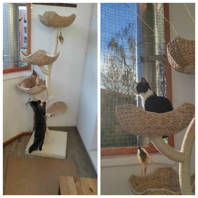 Škrabadlo do dočasné péče