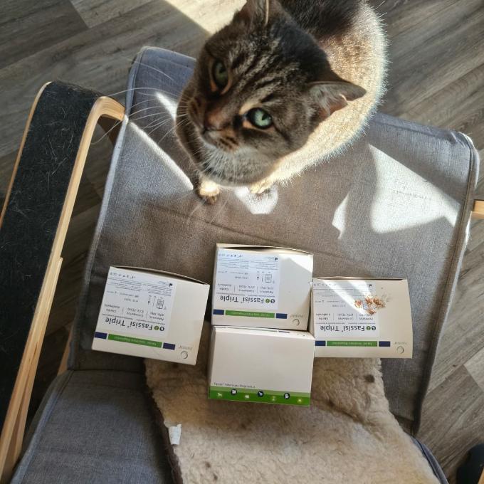 Preventivní testování kočiček v Cool Critters