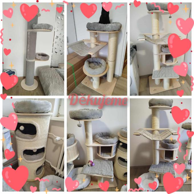 ZNOVU POSTAVIT DOMOV – ŠKRABADLA PO PANLEUKOPÉNII