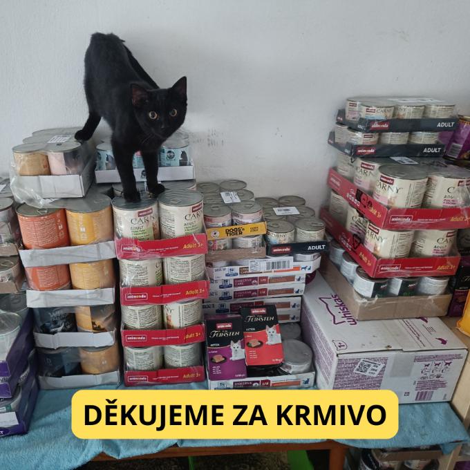 Konzervy pro 117 koček