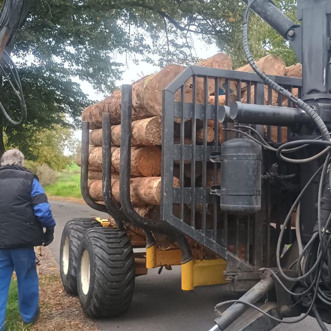 Pomozte kočičkám přežít zimu v teple!