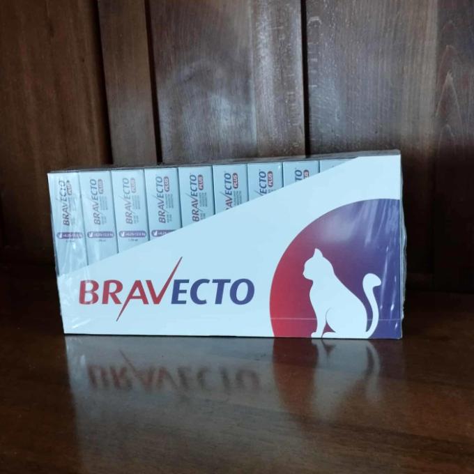 Antiparazitika pro kočky