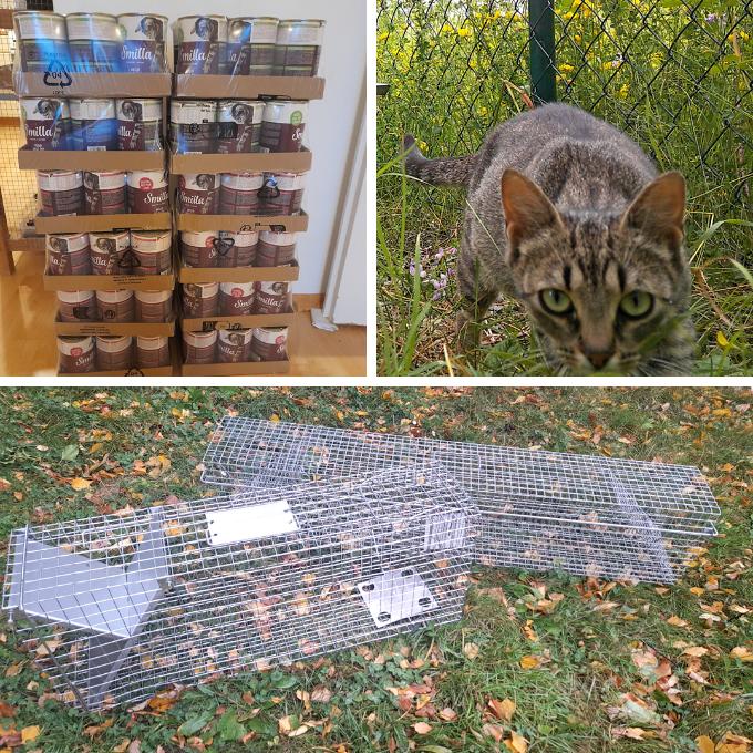 Káťa prosí o pomoc