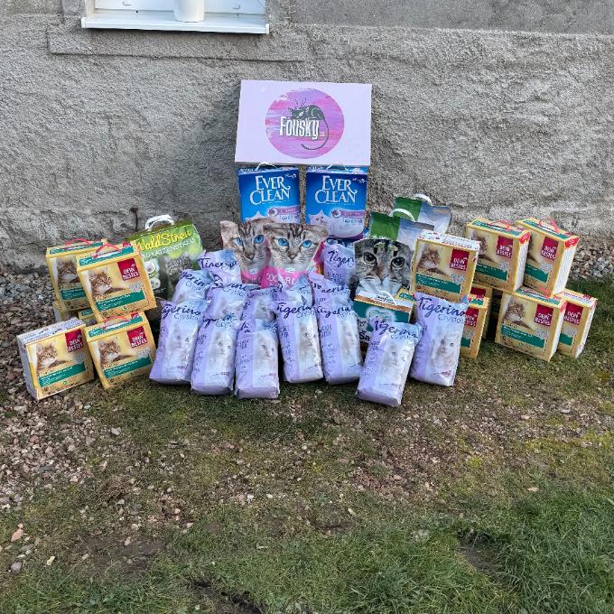 Čisté toalety pro kočičky