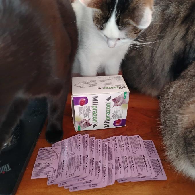 Přípravky proti parazitům