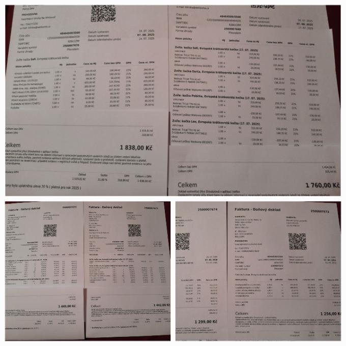 Léčba sourozenců Darča, Leo a Sofí