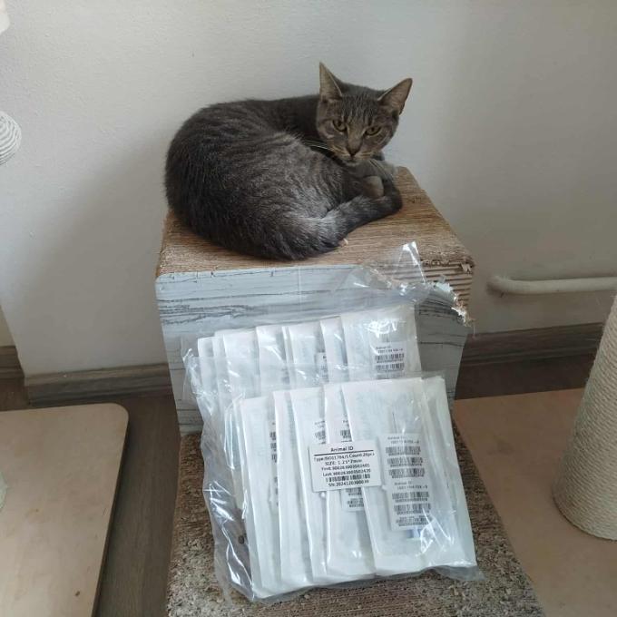 ČIP = ŠANCE NA NÁVRAT DOMŮ