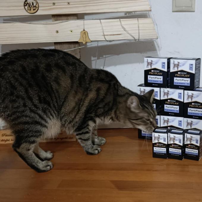 Probiotika - základ zdraví