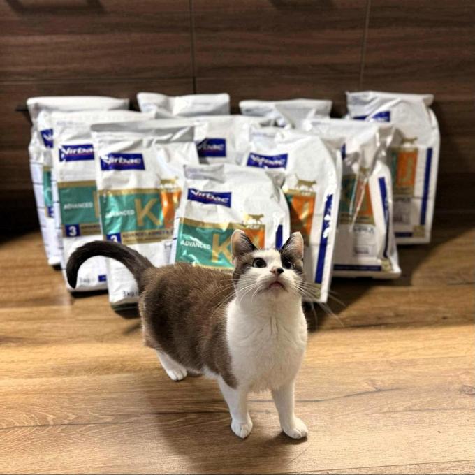 Granule pro kočičky s onemocněním ledvin