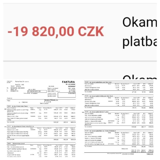 Pomoc s úhradou faktury za veterinární ošetření kočiček