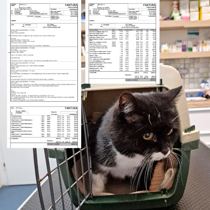 Pomozte Princezně žít bez bolesti