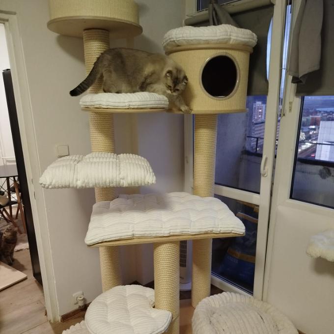 Vánoční přání: kvalitní a stabilní škrabadlo pro naše kočičky