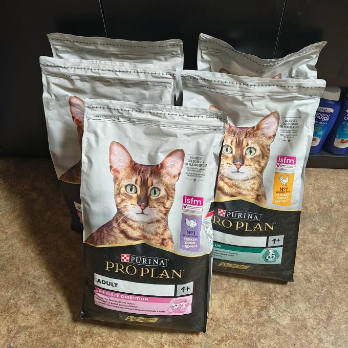 Granule pro kočky ve voliéře