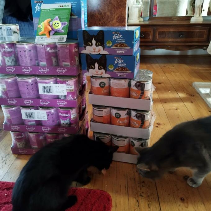 Krmivo pro kočičky na zimu