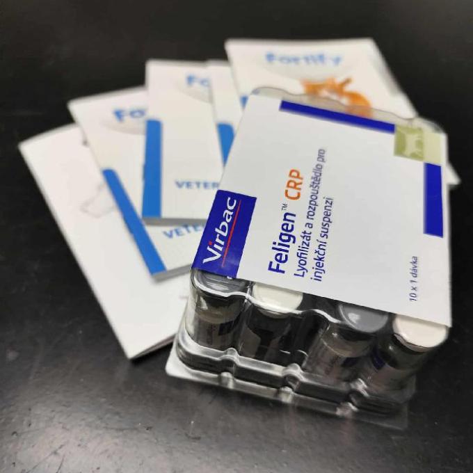 Vakcinace pro kočky od Fridy