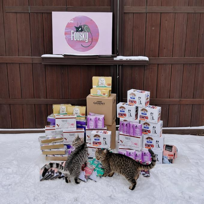 Kvalitní mokré krmivo pro kočičky