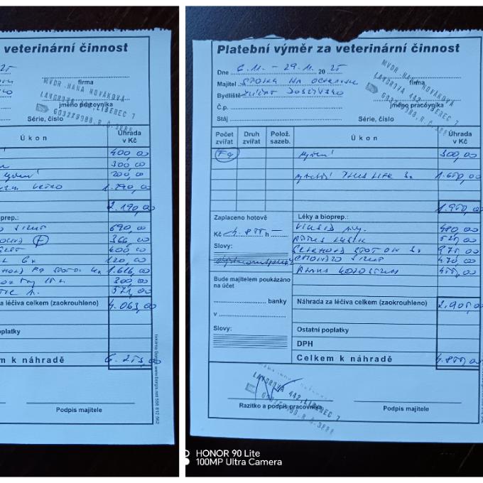 Veterinární péče