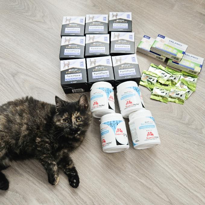 Na bolavá kočičí bříška