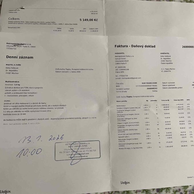 🐾 Příspěvek na veterinární péči našich kočičích svěřenců 🐾