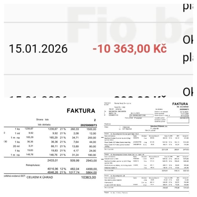Pomoc s úhradou faktury za veterinární ošetření kočiček