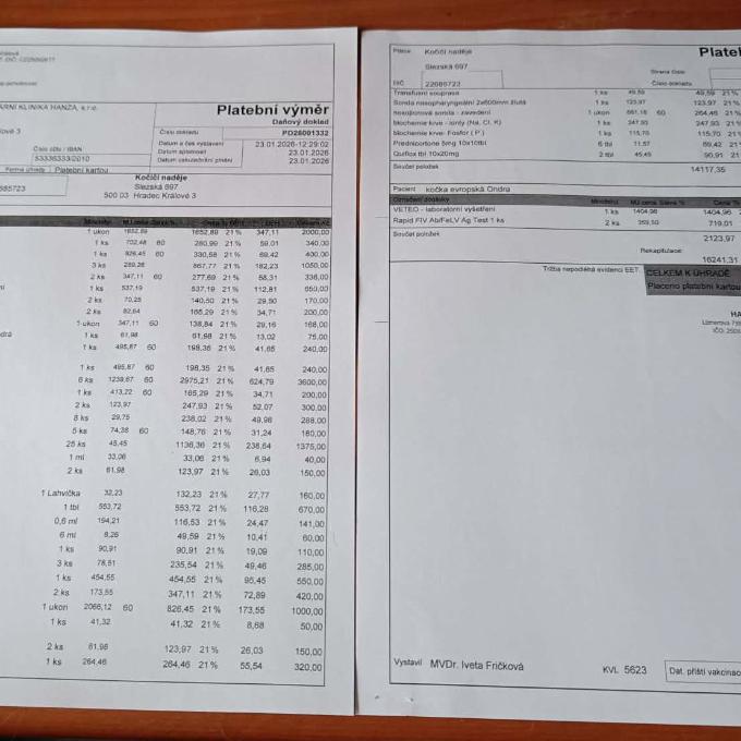 Léčení kočičky Ronynky