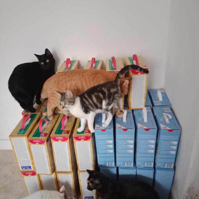 SOS Dochází nám stelivo