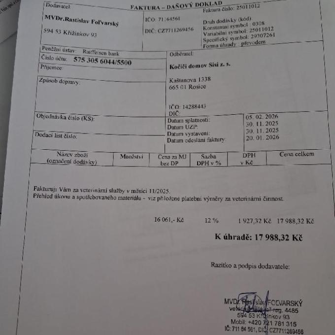 Veterinární péče pro kočičky