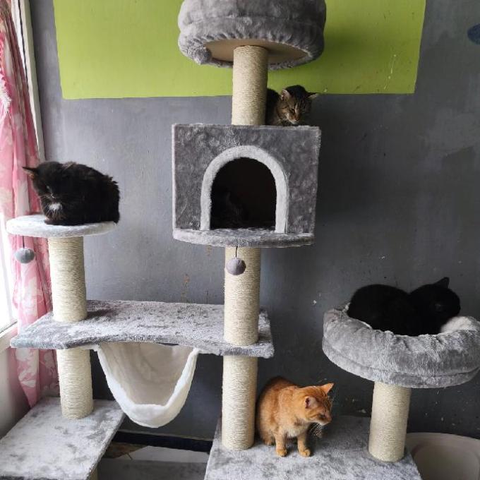 Velké kočičí škrábadlo