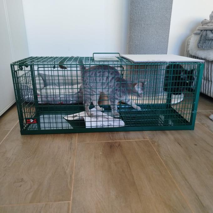 Sklopec, bez kterého to nejde